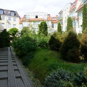 Category Image