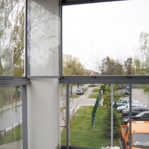 Category Image