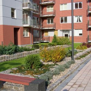 Category Image